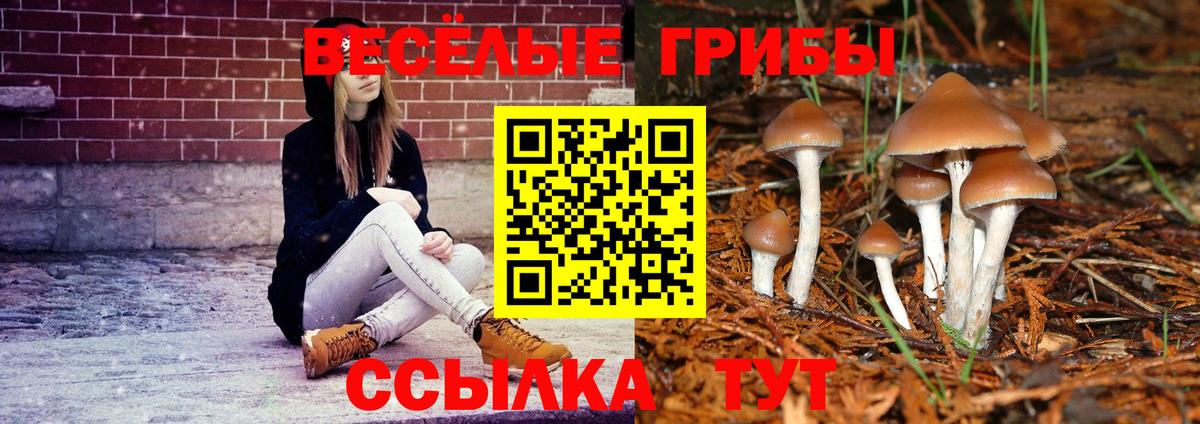 Галлюциногенные грибы Psilocybine cubensis  Галлюциногенные грибы MAGIC MUSHROOMS  Лысьва  Вход с VPN 